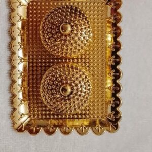 Golden Brick Thali